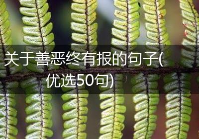 关于善恶终有报的句子(优选50句)