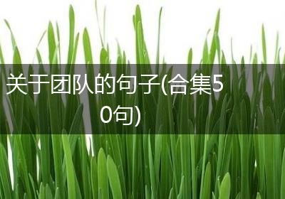 关于团队的句子(合集50句)
