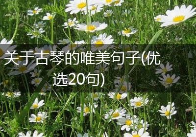 关于古琴的唯美句子(优选20句)