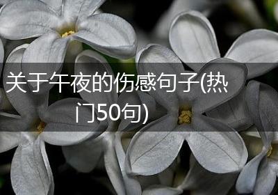 关于午夜的伤感句子(热门50句)