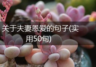 关于夫妻恩爱的句子(实用50句)