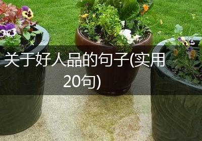 关于好人品的句子(实用20句)