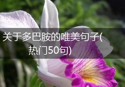 关于多巴胺的唯美句子(热门50句)