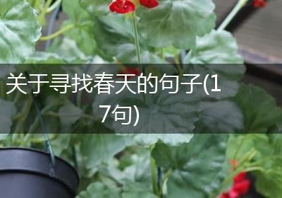 关于寻找春天的句子(17句)