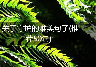 关于守护的唯美句子(推荐50句)