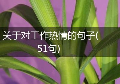 关于对工作热情的句子(51句)