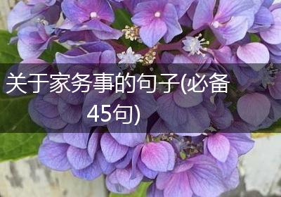 关于家务事的句子(必备45句)