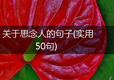 关于思念人的句子(实用50句)