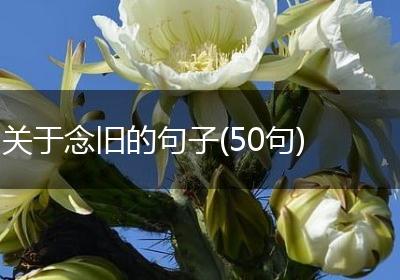 关于念旧的句子(50句)