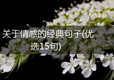 关于情感的经典句子(优选15句)