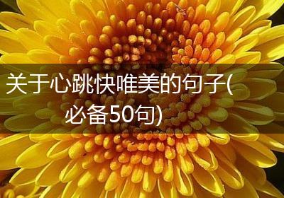 关于心跳快唯美的句子(必备50句)