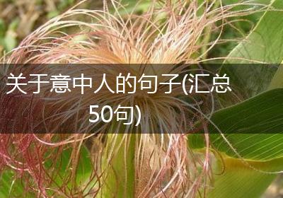 关于意中人的句子(汇总50句)