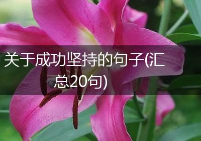关于成功坚持的句子(汇总20句)