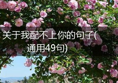 关于我配不上你的句子(通用49句)