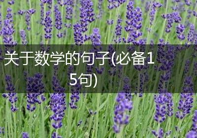 关于数学的句子(必备15句)