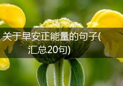 关于早安正能量的句子(汇总20句)