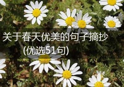 关于春天优美的句子摘抄(优选51句)