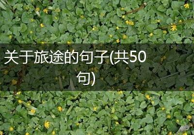 关于旅途的句子(共50句)