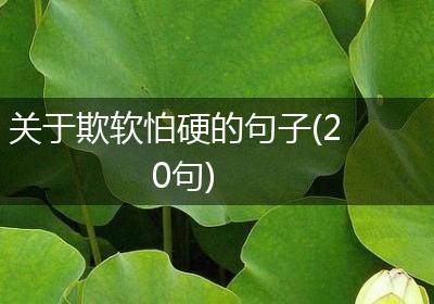 关于欺软怕硬的句子(20句)