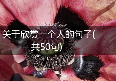 关于欣赏一个人的句子(共50句)