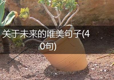 关于未来的唯美句子(40句)