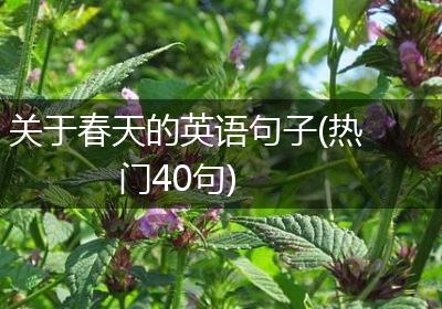 关于春天的英语句子(热门40句)