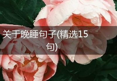 关于晚睡句子(精选15句)