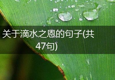 关于滴水之恩的句子(共47句)
