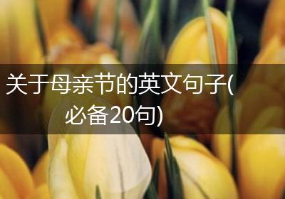关于母亲节的英文句子(必备20句)