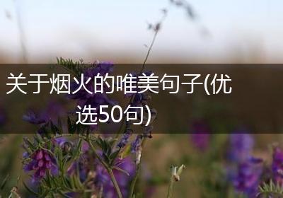 关于烟火的唯美句子(优选50句)