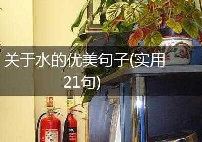 关于水的优美句子(实用21句)