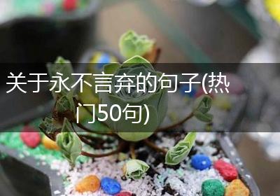 关于永不言弃的句子(热门50句)