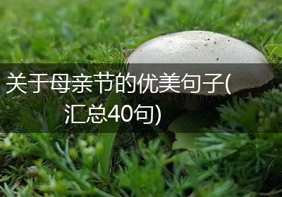 关于母亲节的优美句子(汇总40句)