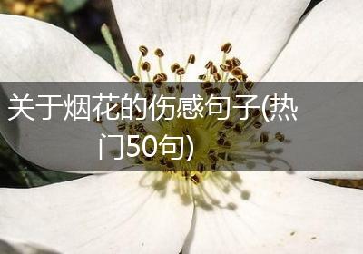关于烟花的伤感句子(热门50句)