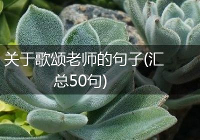关于歌颂老师的句子(汇总50句)