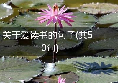 关于爱读书的句子(共50句)