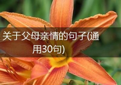 关于父母亲情的句子(通用30句)
