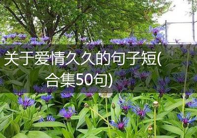 关于爱情久久的句子短(合集50句)