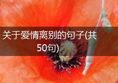 关于爱情离别的句子(共50句)