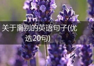 关于离别的英语句子(优选20句)
