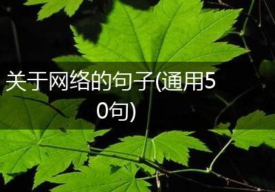 关于网络的句子(通用50句)