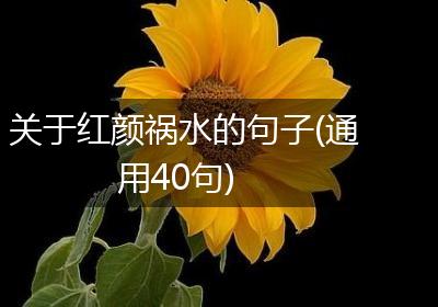 关于红颜祸水的句子(通用40句)