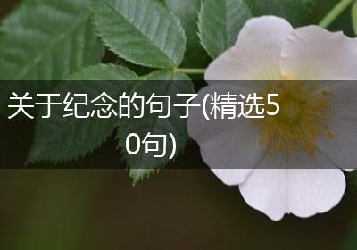关于纪念的句子(精选50句)