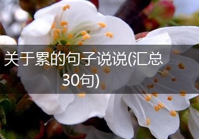 关于累的句子说说(汇总30句)