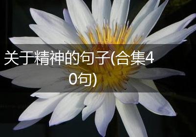 关于精神的句子(合集40句)