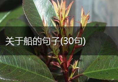 关于船的句子(30句)