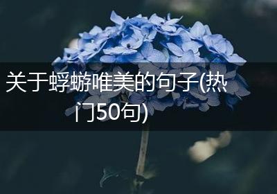 关于蜉蝣唯美的句子(热门50句)