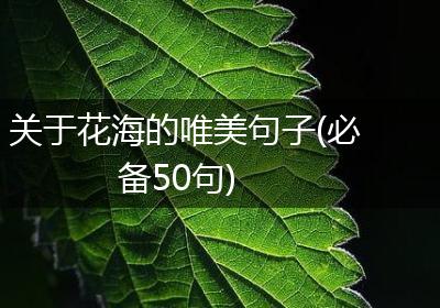 关于花海的唯美句子(必备50句)