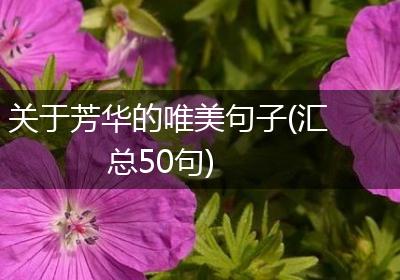 关于芳华的唯美句子(汇总50句)