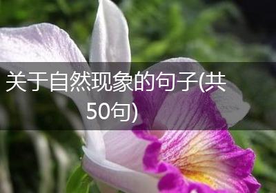 关于自然现象的句子(共50句)